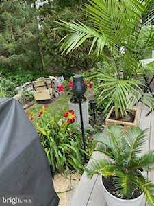 48 Dogwood Dr Barnegat, NJ 08005