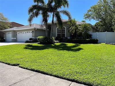1001 Glynwood PLACE Dunedin, FL 34698