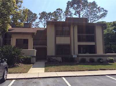 146 Woodlake Wynde #146 Oldsmar, FL 34677