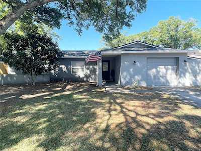 17821 Morninghigh Dr Lutz, FL 33549