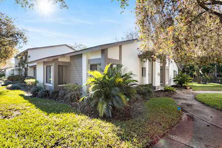 1724 Cypress Trace Dr Safety Harbor, FL 34695