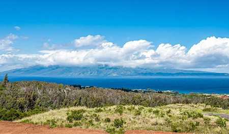 725 Laulama Pl #44 Lahaina, HI 96761