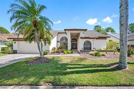 3229 Glenridge Ct Palm Harbor, FL 34685