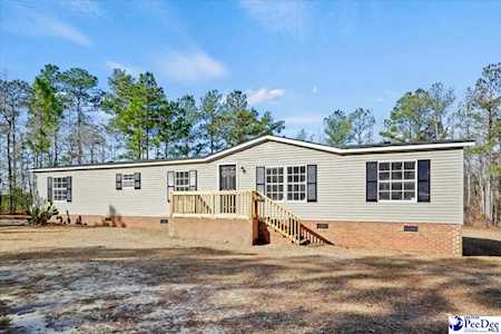 1467 Hillian Edwards Road Cheraw, SC 29520