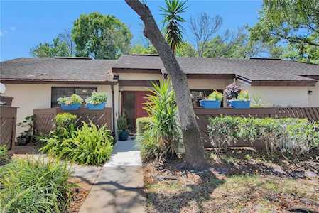 2969 Buttonbush Ct Palm Harbor, FL 34684