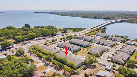 1811 Sunset Wind LOOP Oldsmar, FL 34677