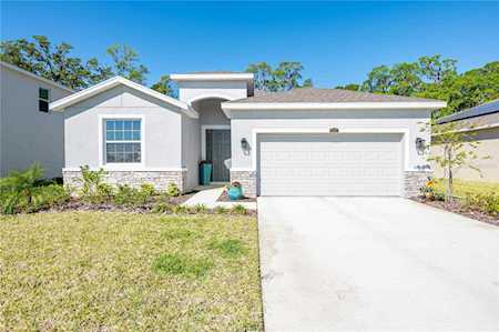6561 Cobble Bliss St Zephyrhills, FL 33541