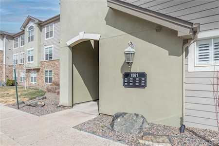 1561 Olympia Circle #103 Castle Rock, CO 80104
