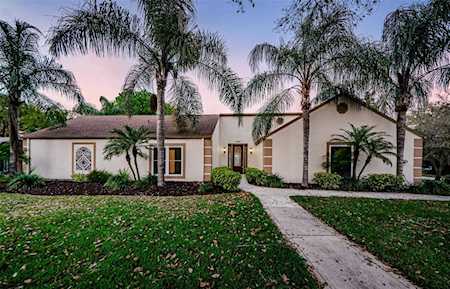 1591 Chestnut Ct W Palm Harbor, FL 34683