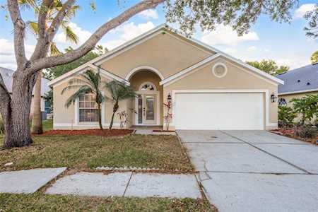 11711 Carrollwood Cove Dr Tampa, FL 33624