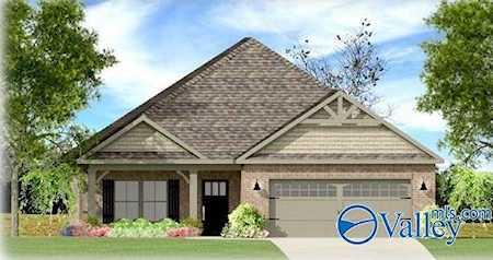 207 Rosemary Ayers Drive Madison, AL 35756