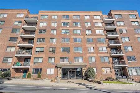 25 Lake Street #7D White Plains, NY 10603