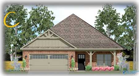 21706 Natures Cove Drive Athens, AL 35613