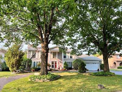 18277 Nardy Clinton Township, MI 48036