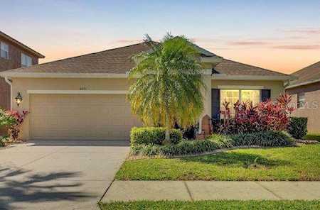 10635 Shady Preserve Dr Riverview, FL 33579