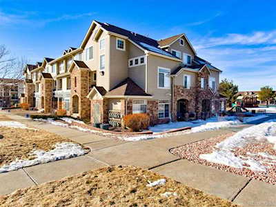 431 Black Feather Loop #819 Castle Rock, CO 80104
