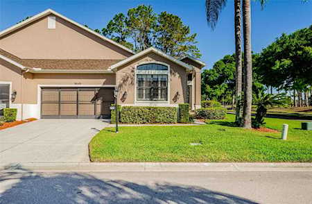 9649 Brookdale Dr New Port Richey, FL 34655