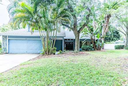 1733 Pine Hill Ct Safety Harbor, FL 34695