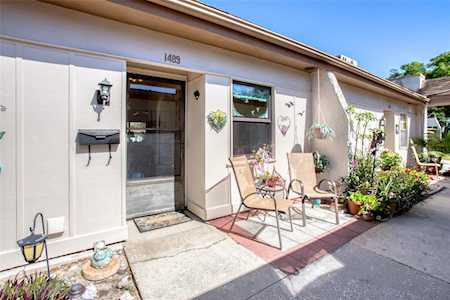 1489 Feather Dr Clearwater, FL 33759