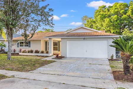 2846 Thistle Ct N Palm Harbor, FL 34684