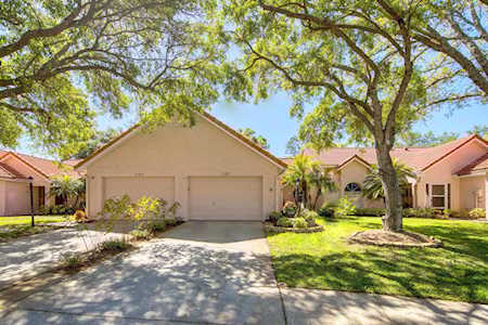 1133 Woodleaf Ct Palm Harbor, FL 34684