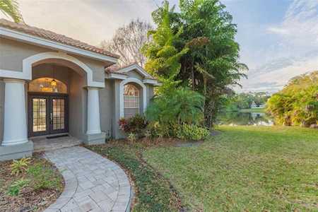 3194 Meadow View Ln Palm Harbor, FL 34683