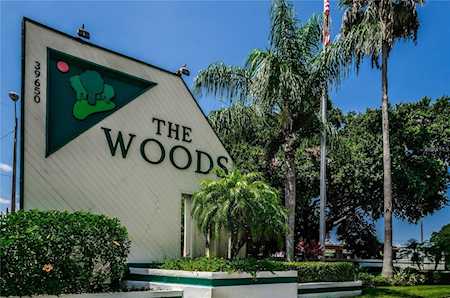 39650 Us Highway 19 N #171 Tarpon Springs, FL 34689