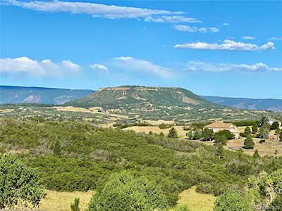 4197 Serenade Rd Castle Rock, CO 80104