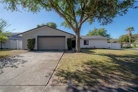 7813 River Ridge Dr Temple Terrace, FL 33637