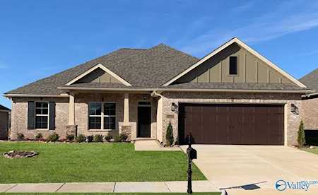 15701 NW Big Ben Drive Harvest, AL 35749