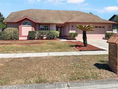 649 Rapid Falls Dr Brandon, FL 33511