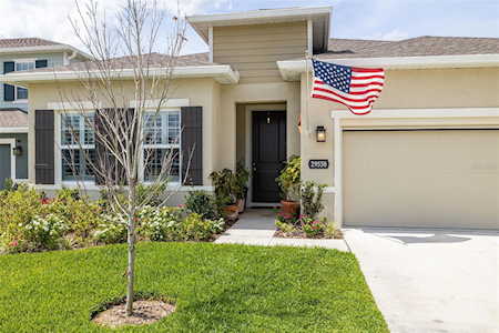 29558 Sedgeway Blvd Wesley Chapel, FL 33544