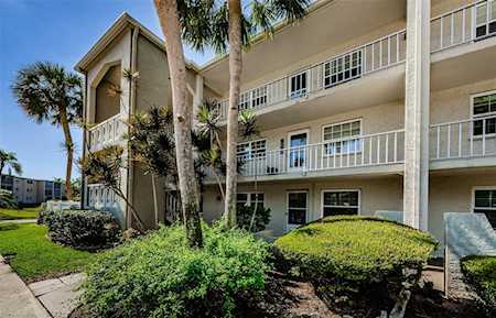946 Virginia St #201 Dunedin, FL 34698