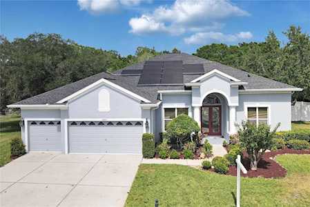 1805 Mountain Ash WAY New Port Richey, FL 34655