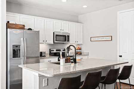 1592 Sorenson Dr Windsor, CO 80550