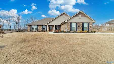 198 Lake View Drive Athens, AL 35613