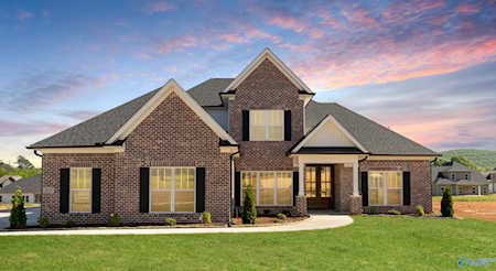 222 Oakland View Drive Brownsboro, AL 35741