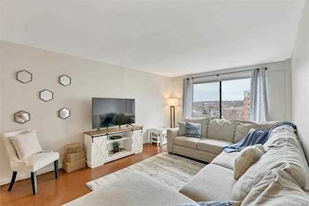 25 Lake Street #5B White Plains, NY 10603