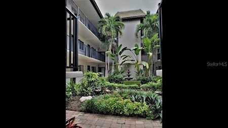 125 5th Ave NE #260 St. Petersburg, FL 33701