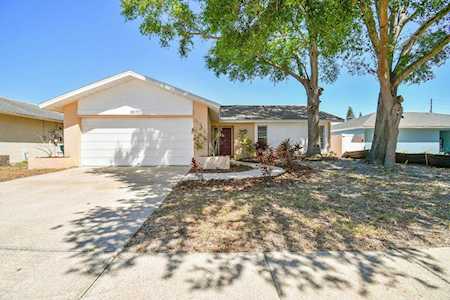 2577 Orangewood Ct Palm Harbor, FL 34684