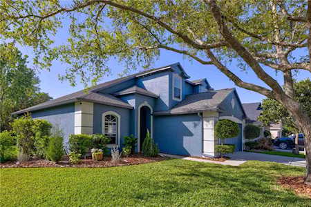 19424 Otter's Wick Way Land O Lakes, FL 34638