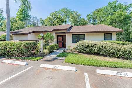 2947 Buttonbush Ct Palm Harbor, FL 34684