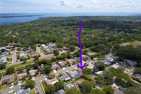 2089 Swan Ln Safety Harbor, FL 34695