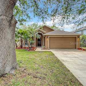 585 Darkwood Ave Ocoee, FL 34761