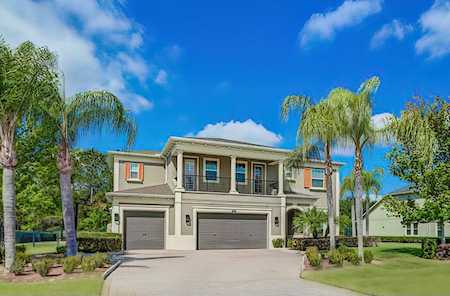 17822 Daisy Farm Dr Lutz, FL 33559