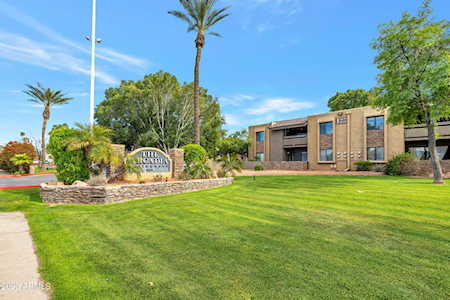 3825 E Camelback Road #183 Phoenix, AZ 85018