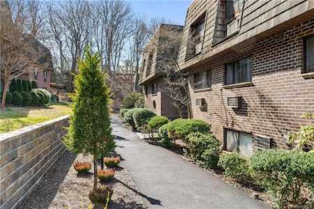 5 S Briarcliff Drive #11 Ossining, NY 10562