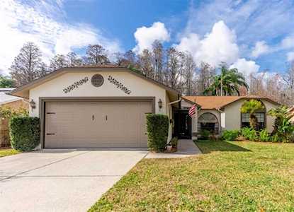5041 Spike Horn Dr New Port Richey, FL 34653