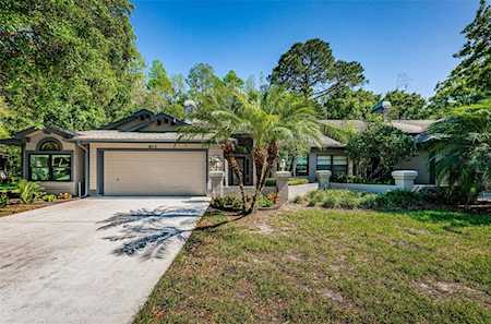 873 Lucas Ln Oldsmar, FL 34677