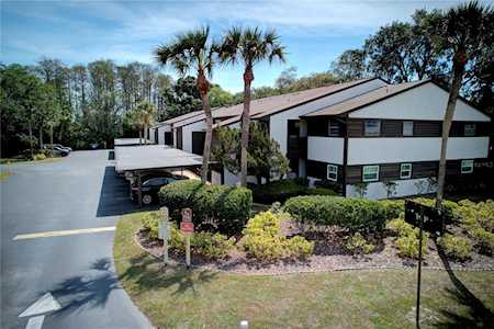 4008 Passport Ln #104 New Port Richey, FL 34653